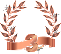 RANK BADGE 3